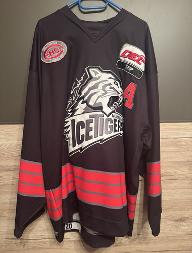 Nürnberg ice tigers game - nürnberg,