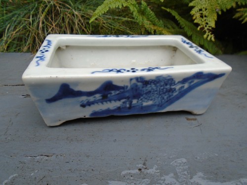 Chinesische blau weiße bonsai - chinesische, blau-weiße