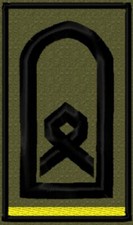 Bundeswehr Rangabzeichen Heer