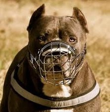 Neu Stark Metall Draht Korb Hundemaulkorb Amstaff Pit Bull,Bull Terrier Größe