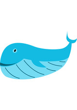 5x car sticker whale sticker