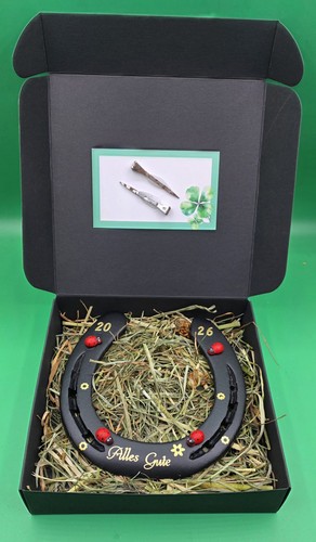 Hufeisen geschenkbox - hufeisen,