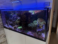 Hochwertiges Meerwasseraquarium (ca. 500 Liter) mit LED Beleuchtung NEU OVP