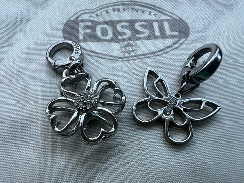 Fossil blume schmetterling - blume,