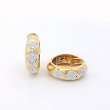 Ladies' earrings, hoop