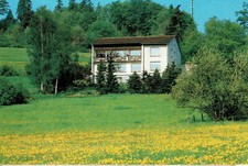 Bad Driburg AK Pension Haus