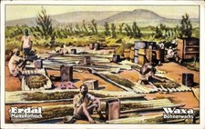 Sammelbild Erdal-Bildreihen