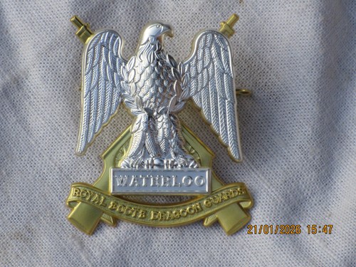 Royal scots dragoon - royal,