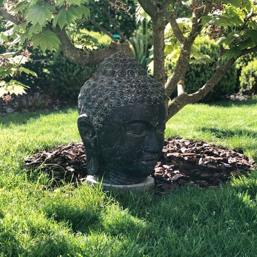 Buddha kopf büste - kopf, 50cm