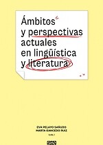 Ambitos perspectivas - y,