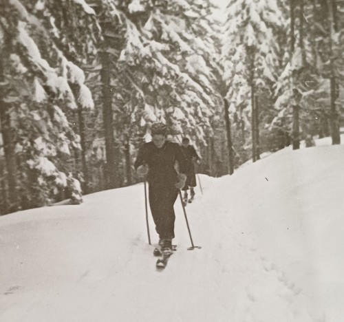 Paar läuft ski langlauf - läuft,