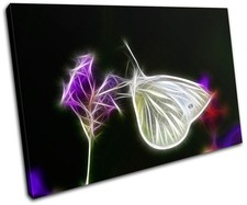 Butterfly Animal Insect Nature