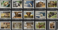 WWF Tier Postkarte Postcard