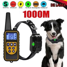 1000M Hund Ausbildung