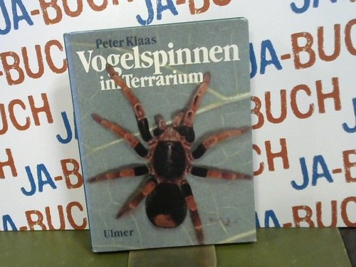 Vogelspinnen terrarium - vogelspinnen,