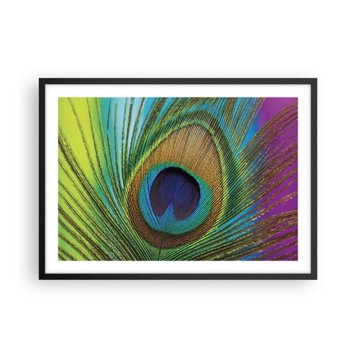 Wandbilder 70x50cm poster - 70x50cm,