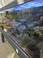 Meerwasser Aquarium 4000 Liter