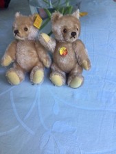 2 kleine Steiff Teddy Bären, 1980