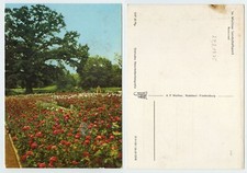 104618 - Wörlitzer Landschaftspark - Roseninsel - AK, datiert 24.8.1975