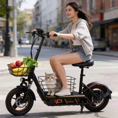 Freeboyh14 scooter 10ah - freeboyh14,