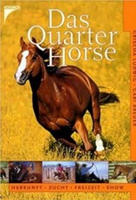 Das Quarter Horse von Grischa
