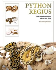 Python regius Stefan