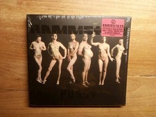 CD Rammstein Pussy Rammlied