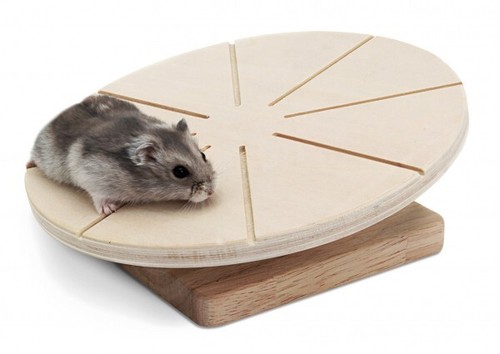 Laufteller für nager 20cm - nager,