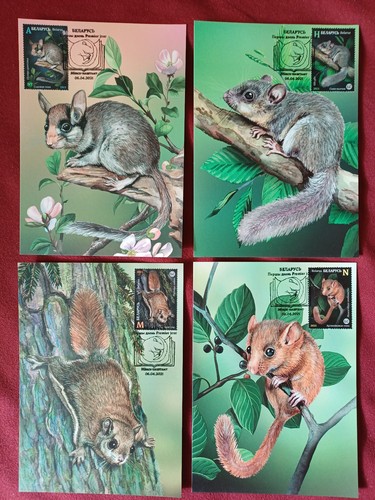Weissrussland fauna - weissrussland, fauna/