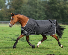 % Bucas Anniversary Turnout 150g Stay Dry Outdoordecke UVP €165,00 -HSS %