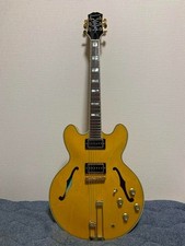 Epiphone Sheraton E-Gitarre