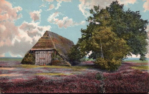 Heidelandschaft - ak,