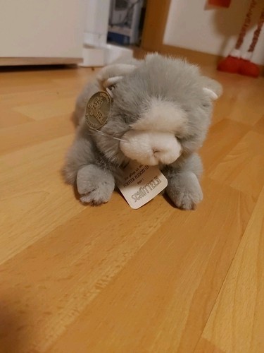 Förster katze klein 30cm - förster,