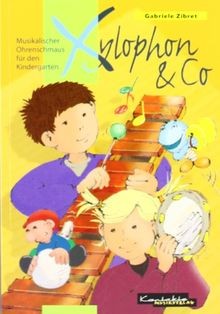 Xylophon musikalischer - ,