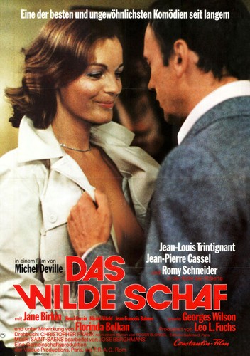 Das wilde schaf - das,