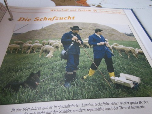 Das war die - , wirtschaft