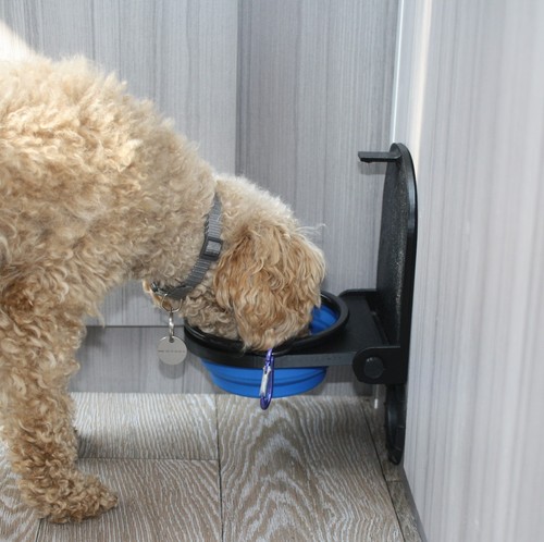 Hundetränke hundenapf - hundetränke,