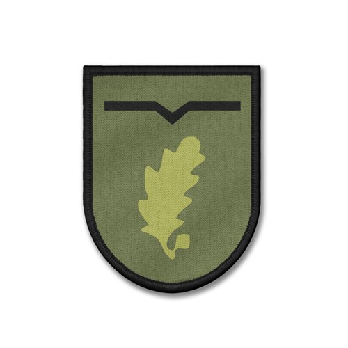 Patch jägerregiment tarn - 1,