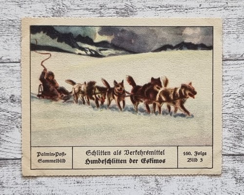 Hundeschlitten eskimo - hundeschlitten,