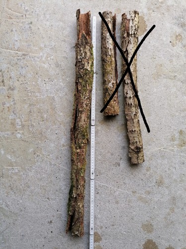 Eichenrinde baumrinde rinde - eichenrinde, 1x