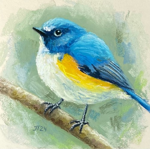 Vogel blauschwanz original - vogel,