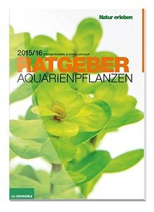 Aquarienpflanzen ratgeber von - ratgeber,
