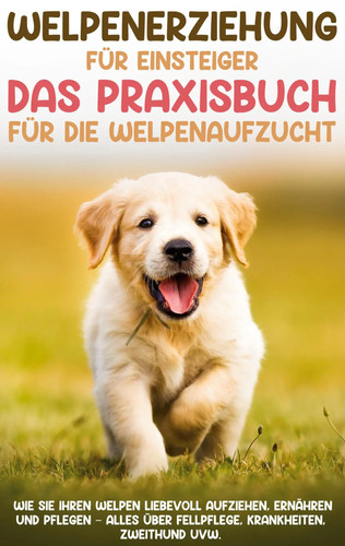 Welpenerziehung für