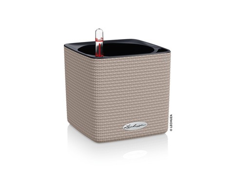 Lechuza cube color - color, 14