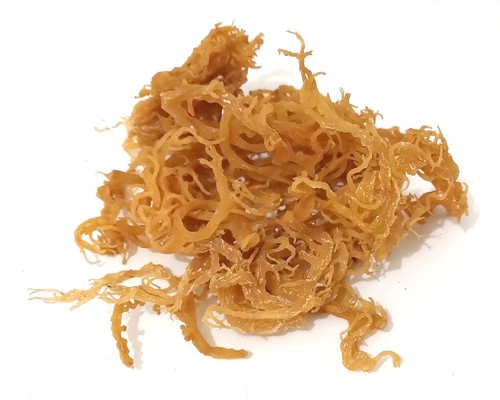 Irish moss weiß - moss,