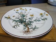 villeroy boch botanica teller