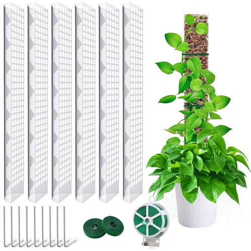 Moosstab für monstera - für,
