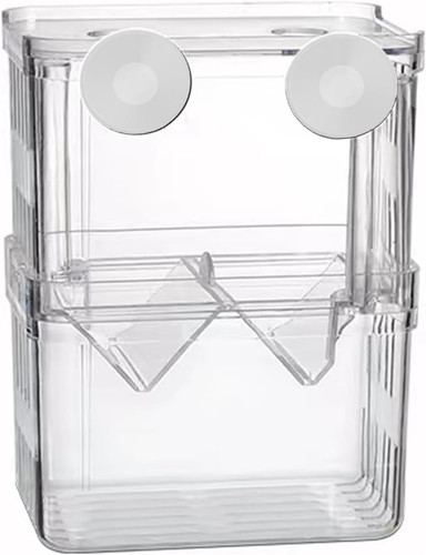 Fischzuchtbox,Aquarium