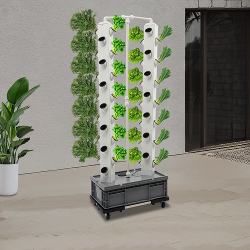 Pflanzen hydroponik outdoor - 56-pflanzen,