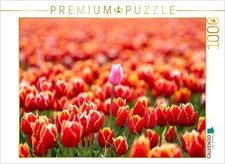 CALVENDO Puzzle Stolze